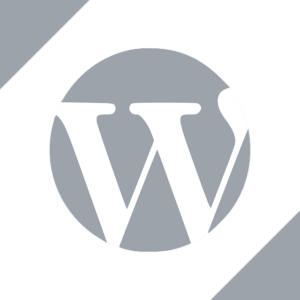 Wordpress Website Expert Daytona Beach