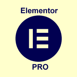 Elementor pro setup